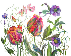 The arrangement of flowers. Tulips, sweet peas, leaves, branches, herbs. Watercolor Botanical illustration. Design greeting cards, greetings. Wedding decor. Print for fabric. Valentine's day. March 8