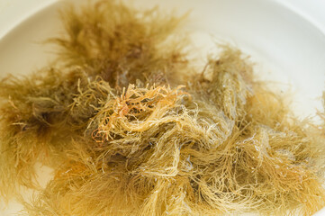 水を張った鍋に付けた天草