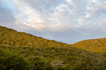 Fototapeta na wymiar Landscape in Addo Elephant National Park, South Africa