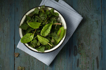 sorrel and nettle leaves