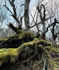 Processed with VSCO with se3 preset