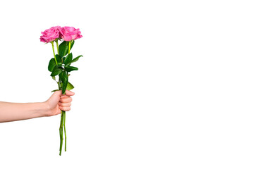 Tender pink roses bouquet in hand isolated on white background. Trendy banner for Valentines Day,...