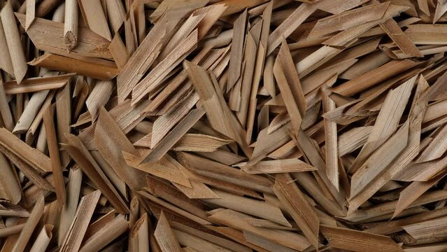 Chopped dry bulrush stalks top view, rotation