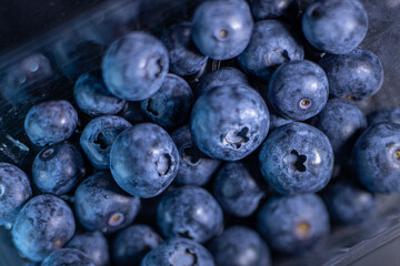 Big blueberries close up. Large ripe berries. Soft selective focus