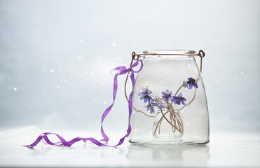 Composition with transparent glass bottles and delicate spring flowers of the liverwort