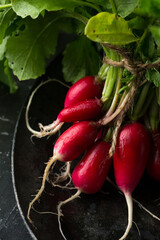crispy radishes on a dark background, close-up