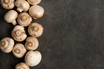 raw mushrooms champignons on a gray background, cooking champignons, close-up
