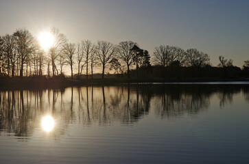 Die Morgensonne spiegelt sich zusammen mit den Bäumen im Wasser des Sees