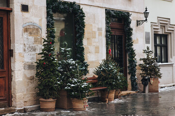 Six green decorative Christmas trees stand in burlap pots on a gray cobbled sidewalk outside a shop in Lviv, Ukraine. Winter snow. New Year eve.