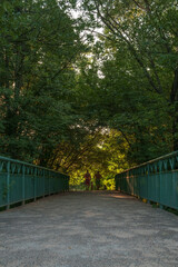 bridge in the park