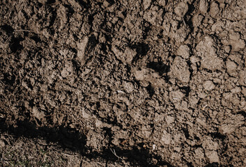 Background, texture of dug up brown earth, soil. Ukrainian chernozem, top view.