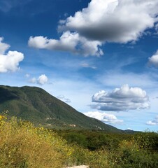 Obraz premium landscape with sky