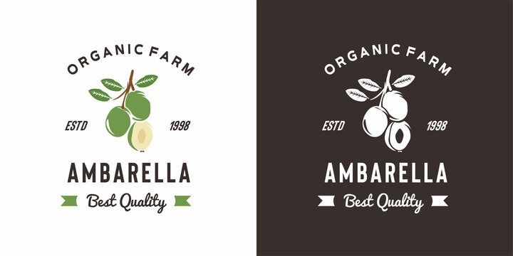 vintage ambarella fruit logo illustration suitable for fruit shop and fruit farm