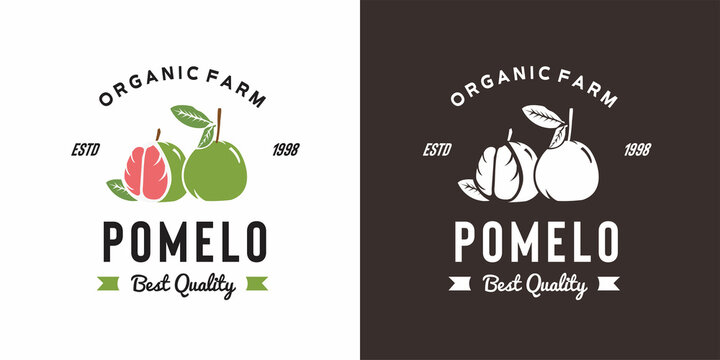 vintage pamelo fruit logo illustration suitable for fruit shop and fruit farm