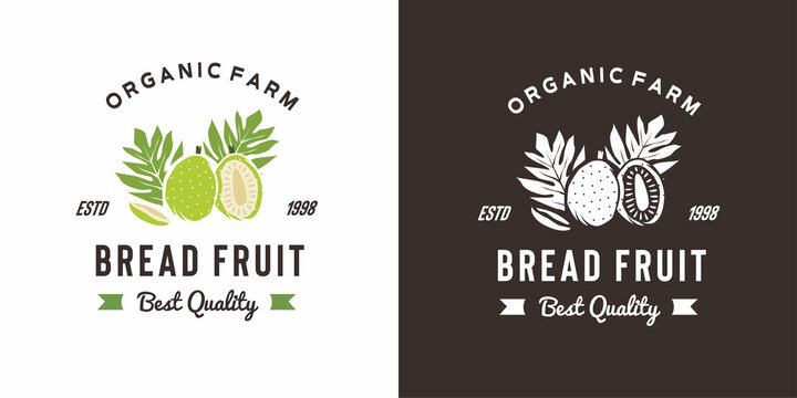 vintage bread fruit logo illustration suitable for fruit shop and fruit farm