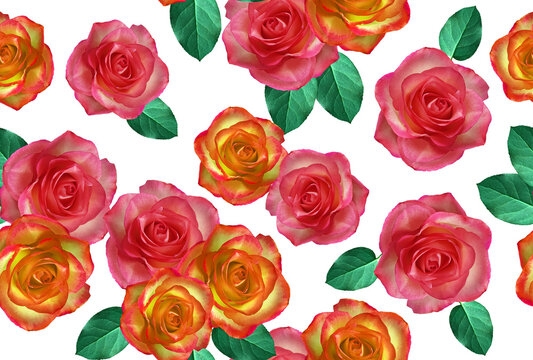 Fashion digital pattern photo print red and yellow rose flowers - abstract bright floral ornament on white background.