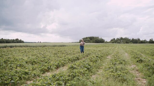 Happy caucasian farmer in cap, plaid shirt and jeans walks through strawberry field. Woman with smile lifts up ripe berry and puts it in basket. Lady jumps merrily, rejoices at excellent harvest.