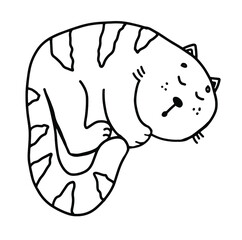 funny cat hand-drawn with black and white lines, contour doodle of a cat that sleeps