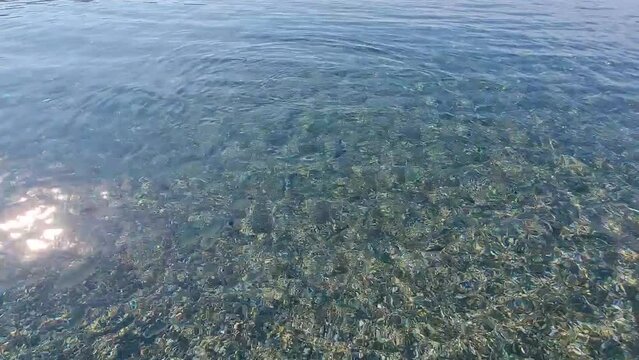 Swimming in the sea near the beach, Arcomagno, San Nicola Arcella