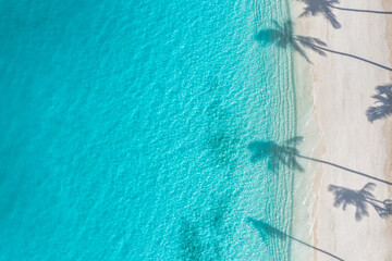 Beach palm trees on the sunny sandy beach and turquoise ocean from above. Amazing summer nature...
