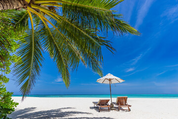 Beautiful tropical island landscape, freedom sun chairs, loungers umbrella under palm tree leaves. White sand, sea shore horizon. Beach vacation, summer resort, couples destination, tranquil nature