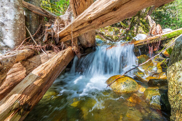 Naklejka premium majestic mountain creek with rocky background in Vancouver, Canada