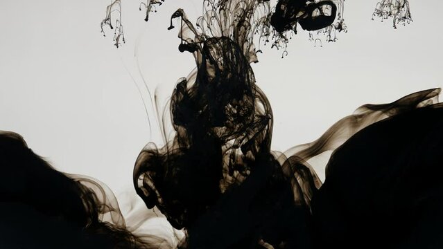 Dissolution of black paint on a white background. Injection of paints into a transparent space.