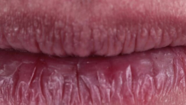 extreme close up of white teeth. teeth whitening. full lips. smile of a man.