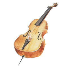 Old-style drawing of a large cello violin. Wooden bowed musical instrument with a black fingerboard. Hand painted watercolor illustration. Colorful drawing on white paper background