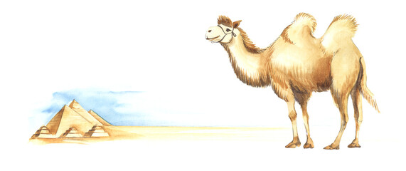Big beautiful bactrian camel on the background of the Egyptian valley of the kings on a sunny day. Hand painted watercolor illustration. Colorful light sketchy drawing on white paper background