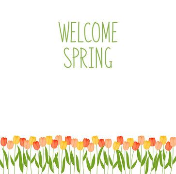Flowers background with tulips. Banner welcome spring with handwritten lettering. Vector illustration