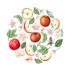 Round composition of hand drawn apple tree flowers, red apples and leaves, isolated on a white background