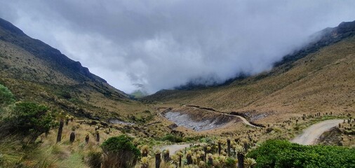 panorama of the mountains
