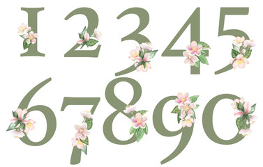 Set of floral numbers with apple tree flowers, isolated illustration on white background, for wedding monogram, greeting cards, logo
