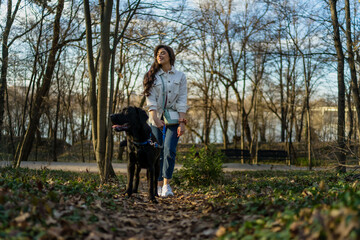 A large dog drags a pet owner into the park. A woman walks with her black Labrador outdoors. Funny moments during the walk.