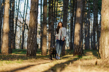 Fototapeta premium A smiling young attractive woman playing and walking with her Labrador puppy in a city park. The concept of pet and animal care.