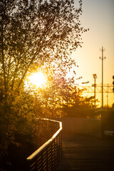 Railroad Park Sunset, Birmingham, AL