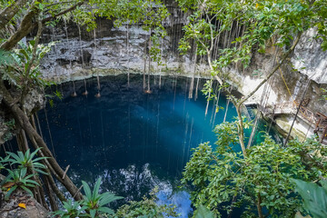 Open Cenote Surrounded with Green Jungle