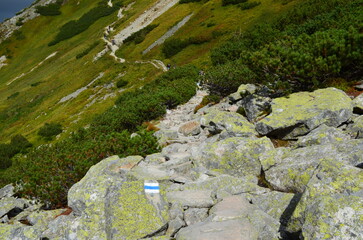 Szlak w Tatrach niebieski, z Doliny Pięciu Stawów Polskich do Morskiego Oka przez Świstówkę
