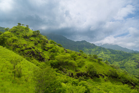 gr&uuml;ne Landschaft Balis