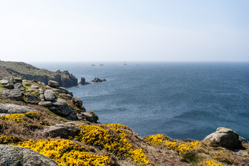 rocky coast and blue sea in Cornwall, England, United Kingdom, yellow flowers