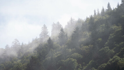 Foggy Morning in the Valleys of the Appalachian Mountains View from The Blue Ridge Parkway