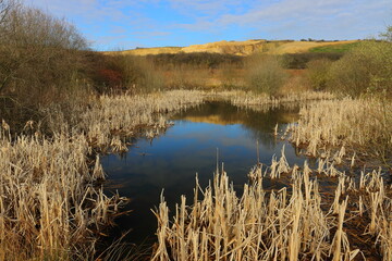View of a Lake at Crowtrees Nature Reserve, Quarington Hill, County Durham, England, UK.