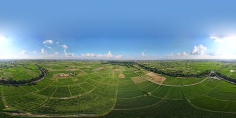 A 360 degrees aerial panorama of agricultural land and rice fields in Punjab, Pakistan