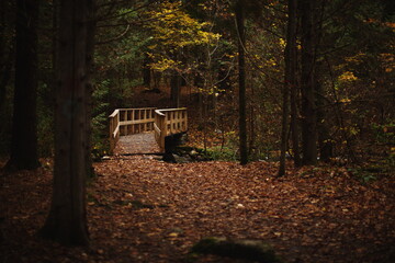 OHara Mill Homestead and Conservation Area in Ontario, Canada.