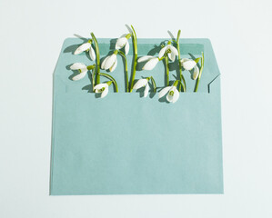 Snowdrops in an envelope