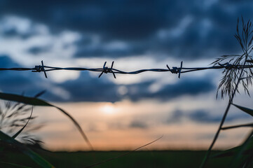 Steel fence made of barbed wire with a twilight sky at sunset.