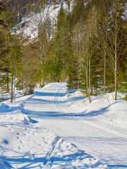 Ski trail in wintertime in the Austrian Alps