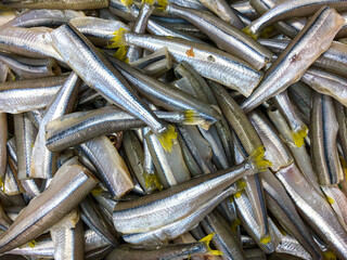 fish smelts  fishmonger, food market