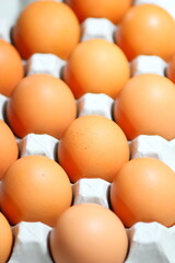 新鮮な卵　卵かけご飯
Fresh egg omelet rice